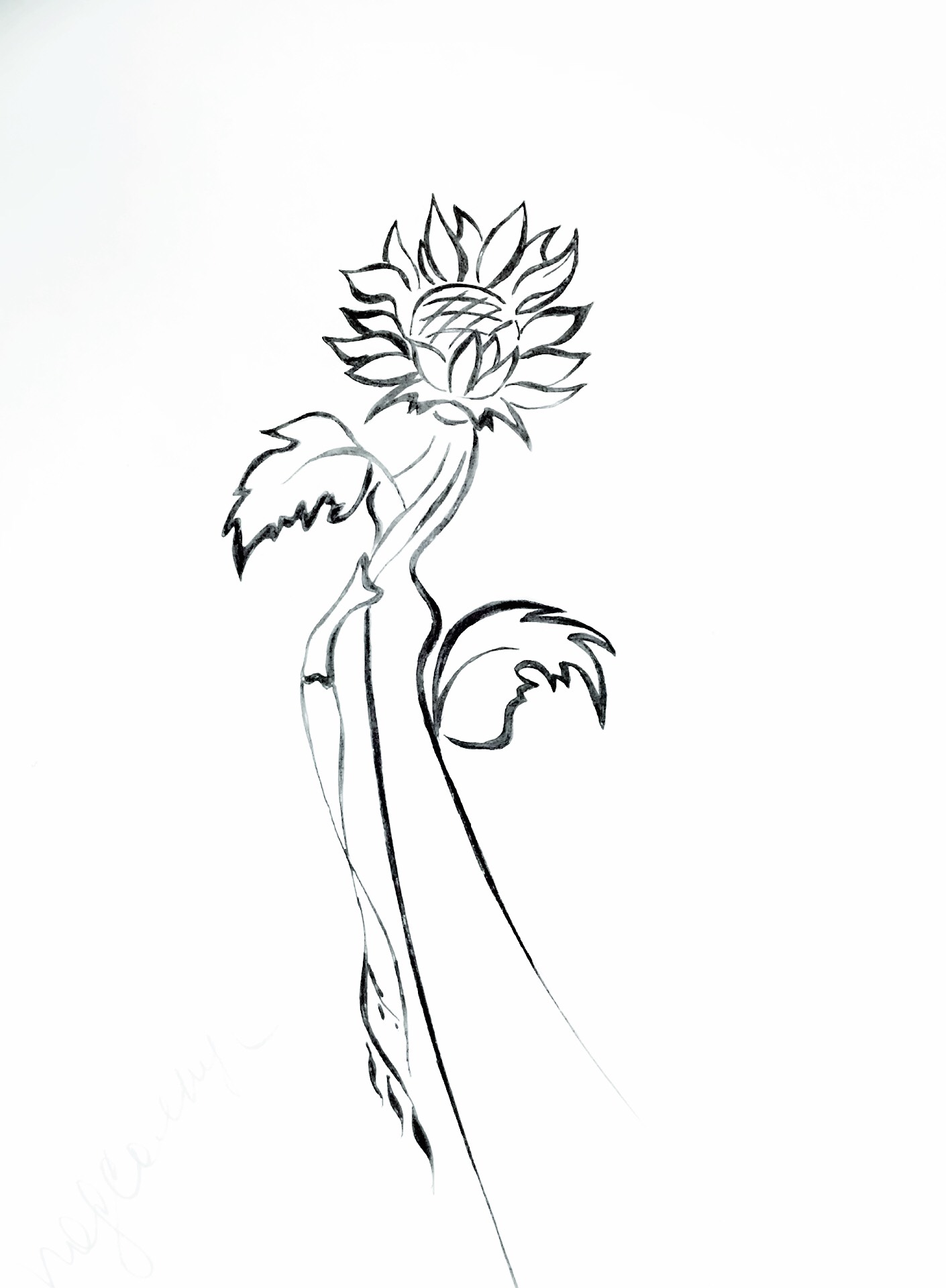 1410x1920 Pin By Elena Ross On My Drawings Draw