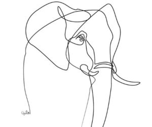 300x250 9 Best Tattoo Images On Ducks, Birds And Duck Tattoos