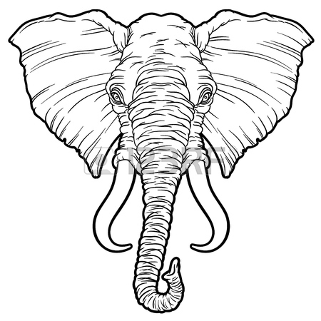 450x450 Elephant Bull Images Amp Stock Pictures. Royalty Free Elephant Bull