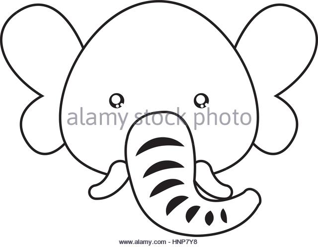 640x496 Elephant Face Stock Vector Images