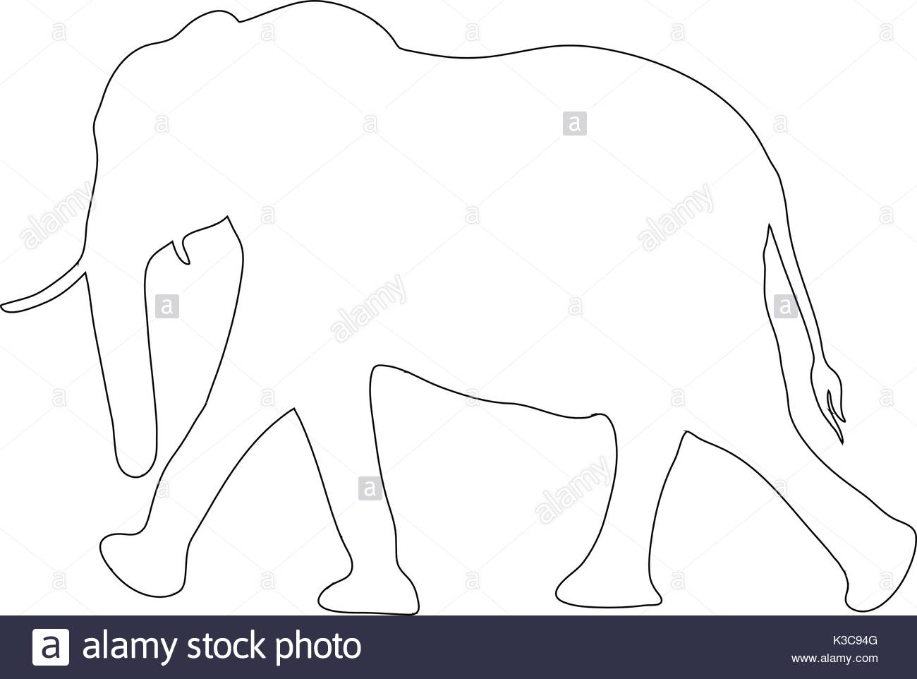 1300x962 Elephant Trunk Stock Vector Images