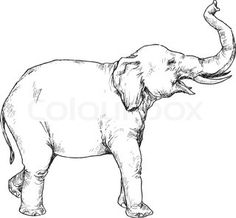236x218 Image Result For Elephant Side View Clip Art Elephant