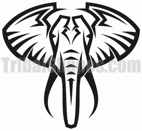480x441 41 Best Tats Images On Tribal Elephant Tattoos, Tattoo