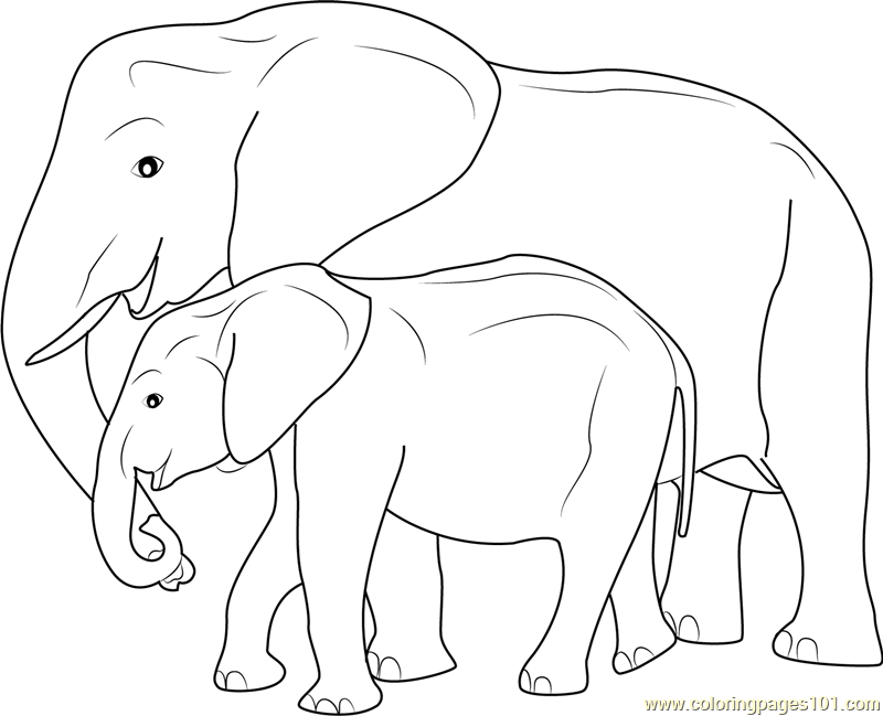 800x649 Mother And Baby Elephant Coloring Pages Baby Elephant Coloring