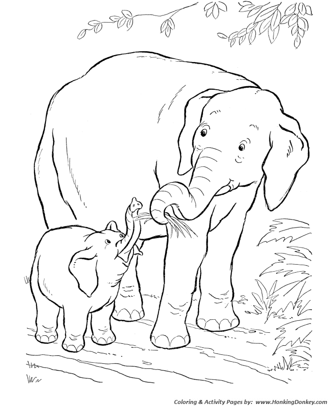 670x820 Wild Animal Coloring Pages Baby Elephant Coloring Page And Kids