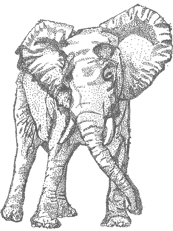 600x800 Dotted Elephant Art Prints By Courtneyk1089 Redbubble