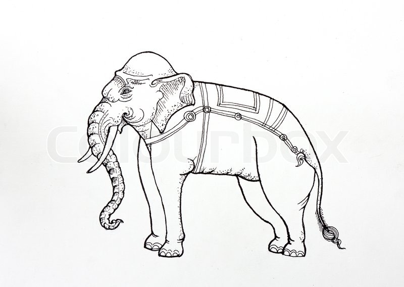 800x568 Drawing Thai Tradition Art,white Elephant, By Pen On Paper Stock