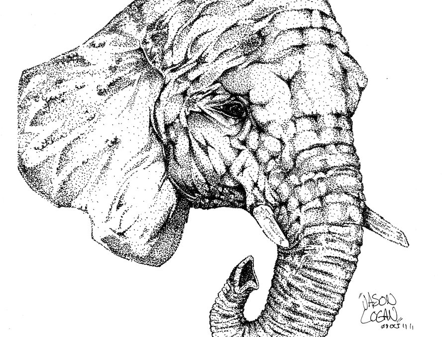 900x677 Floating Elephant Head By Loganinf