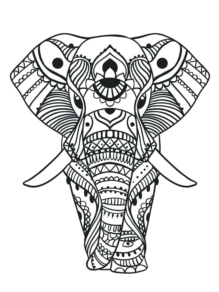 736x980 Elephants Pictures To Color Pin Drawn Elephant Color 3 Elephants