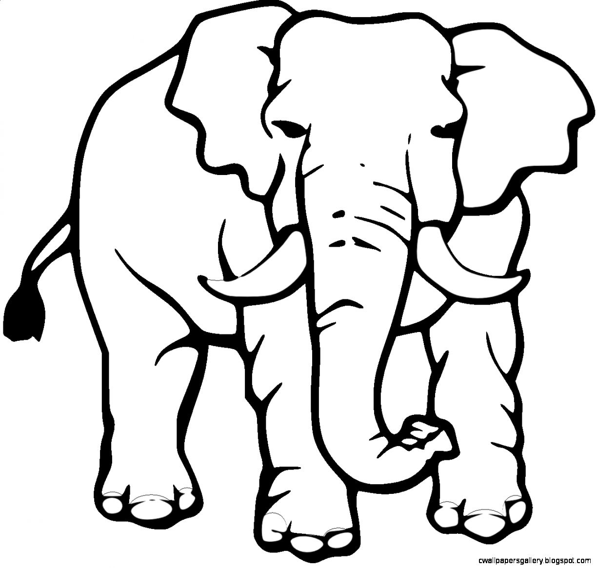 1224x1165 Elephant Black And White Drawing Wallpapers Gallery