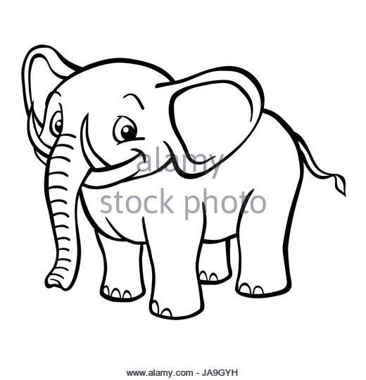 520x540 Elephant Drawing Trunk Black And White Stock Photos Amp Images