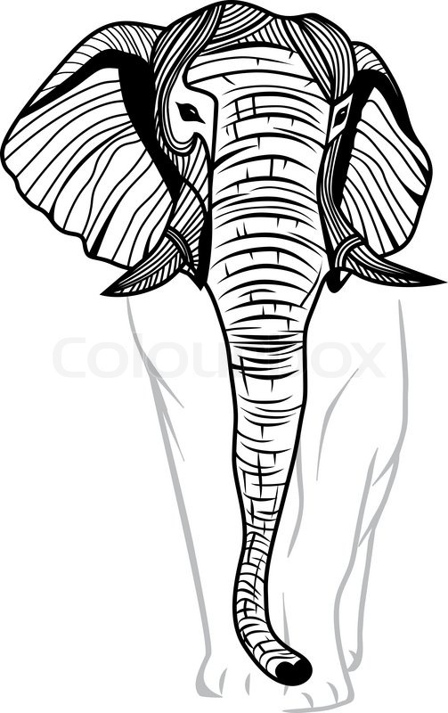 503x800 Elephant Head For Mascot Or Emblem Design, Logo Vector Animal