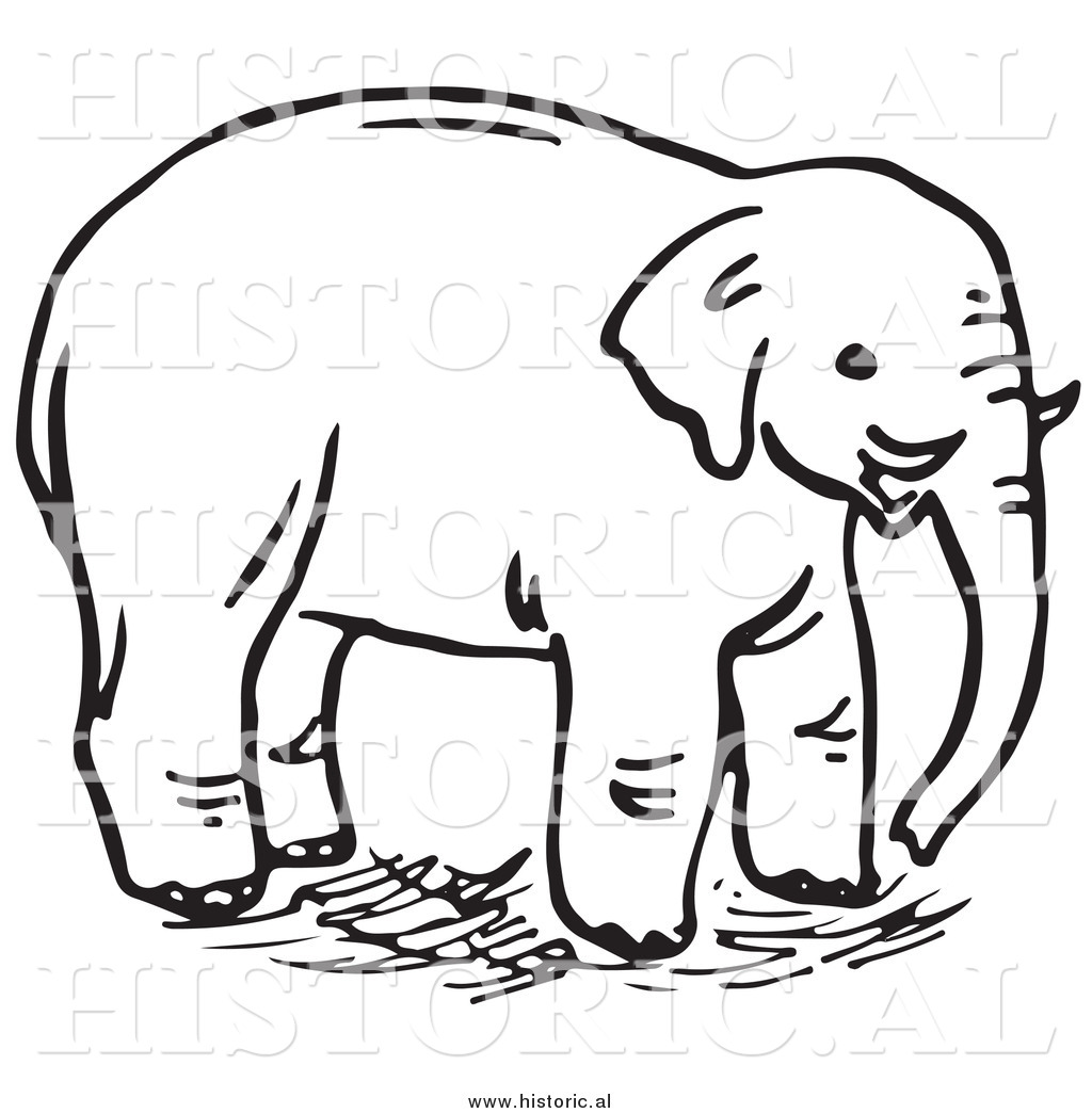 1024x1044 Wild Elephant Clipart, Explore Pictures