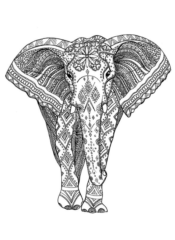 585x799 Elephant Drawings