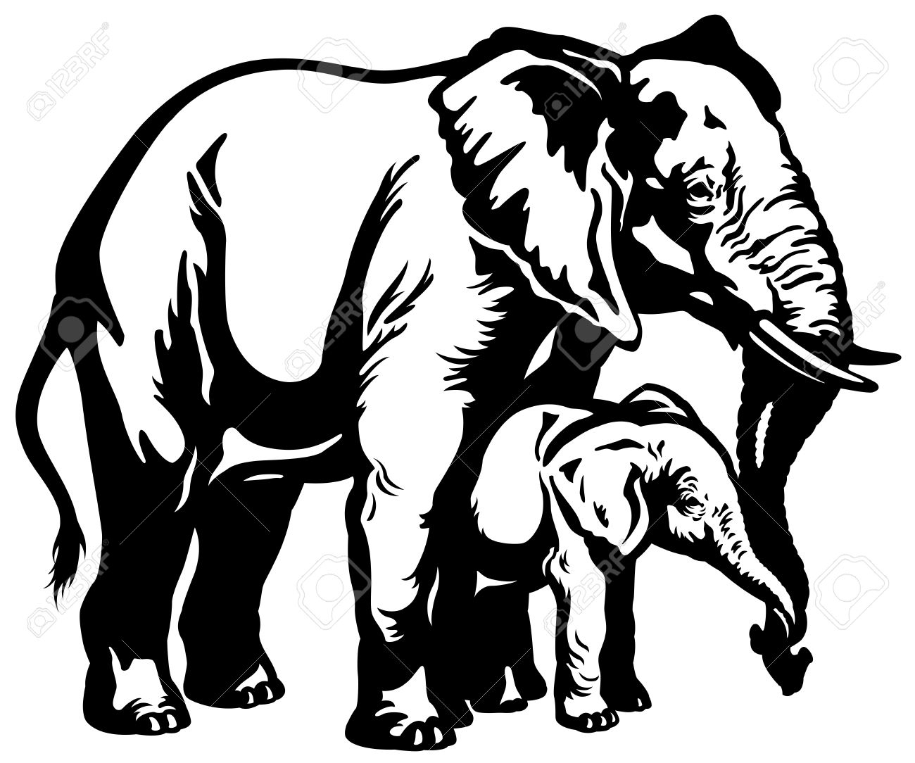 1300x1084 Elephant Side View Drawing