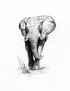 236x303 Sophie Standing Fiber, Textiles And Artists