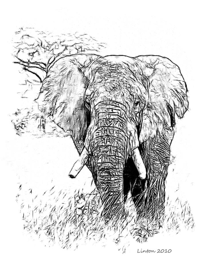 719x900 African Elephant Digital Art By Larry Linton