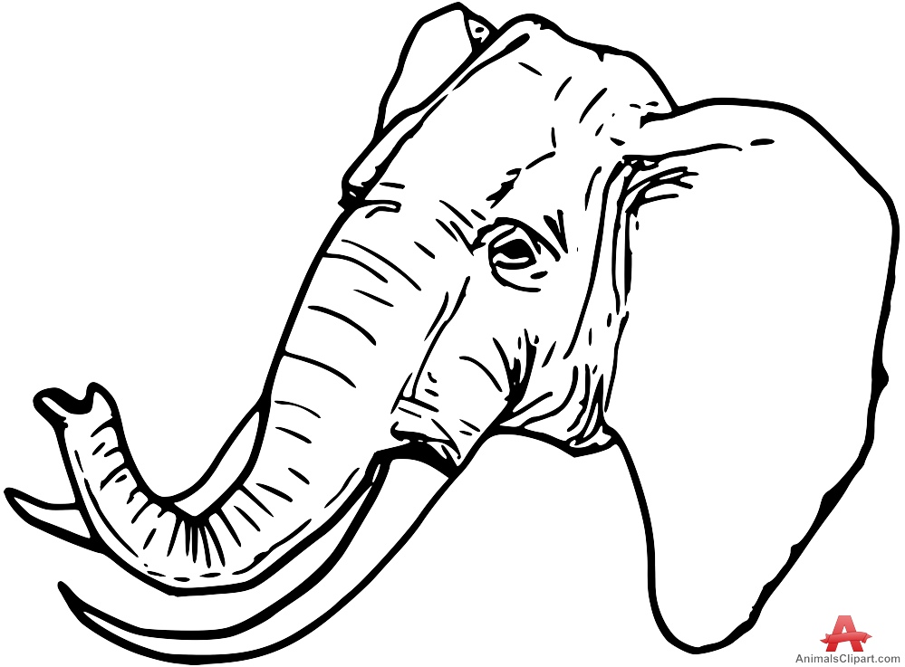 999x737 Elephant Head Outline Best 25 Elephant Head Drawing Ideas
