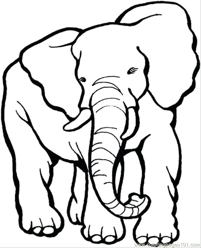 650x802 Elephants To Color Excellent Elephant Coloring Pages Colorings