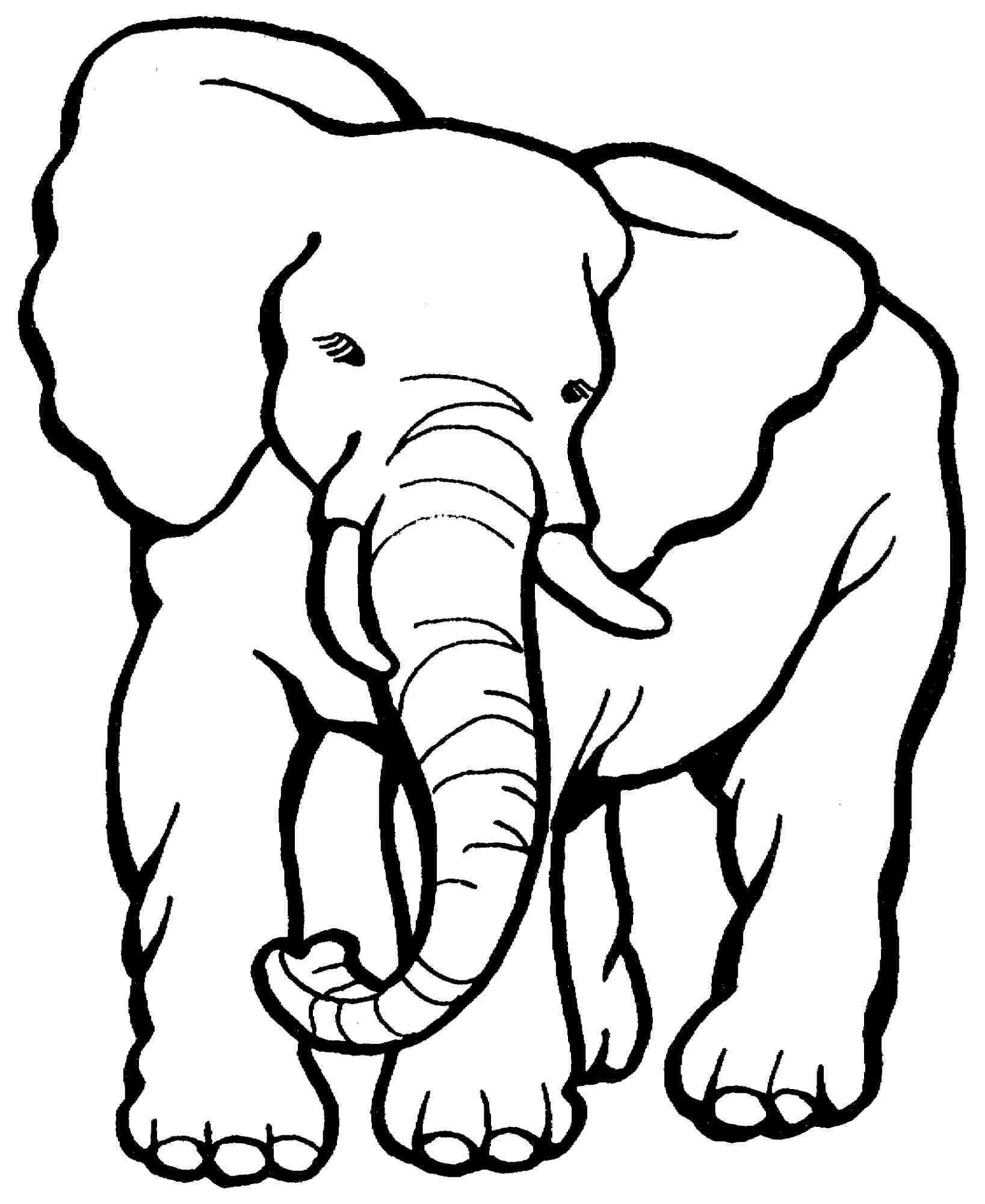 1637x2000 Sensational Ideas Coloring Page Of Elephant Elephant Coloring Page
