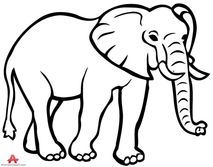 728x570 Elephant Clipart Outline