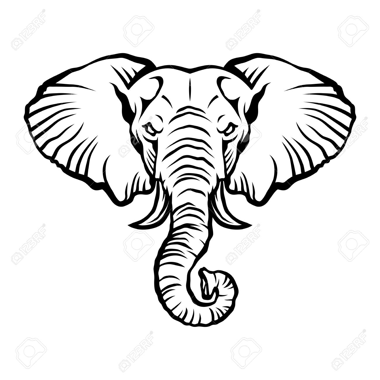 1300x1300 Elephant Head Stock Photos. Royalty Free Business Images