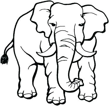 370x360 Elephants Pictures To Color Coloring Cute Elephant Coloring