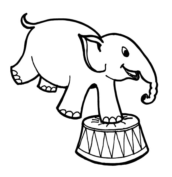 600x616 How To Draw Circus Elephant Coloring Pages Best Place To Color
