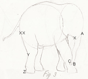 300x269 How To Draw A Baby Elephant Draw An Elephant Calf.