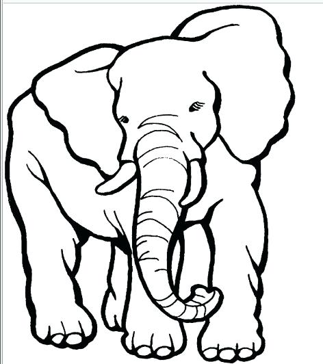 472x532 Cartoon Elephant Coloring Pages Elephant Cartoon Elephant