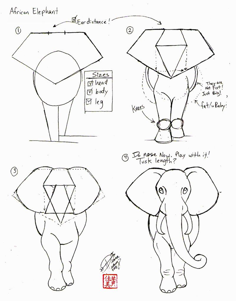 800x1021 Draw An Elephant 2 Part1 By ~diana Huang On Tembo