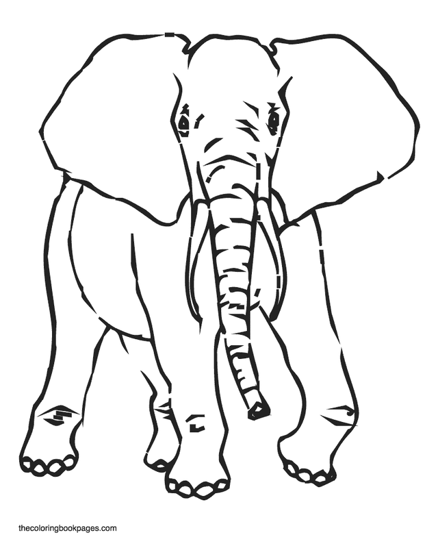 640x800 Elephant Coloring Pages To Print 482812