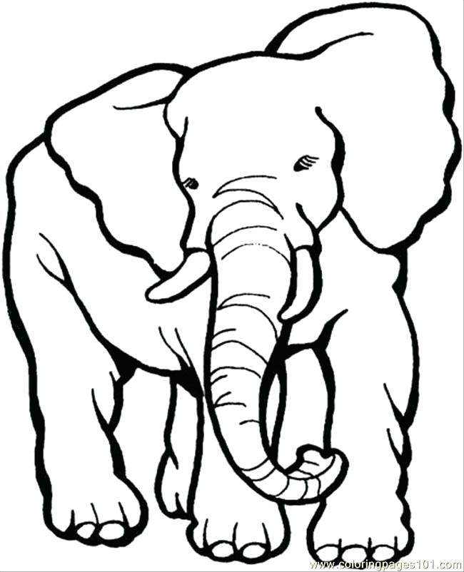 Elephant Drawing For Kids at GetDrawings | Free download