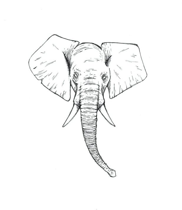 618x711 Download 107 Interesting Outline Elephant Sitting Elephant Outline