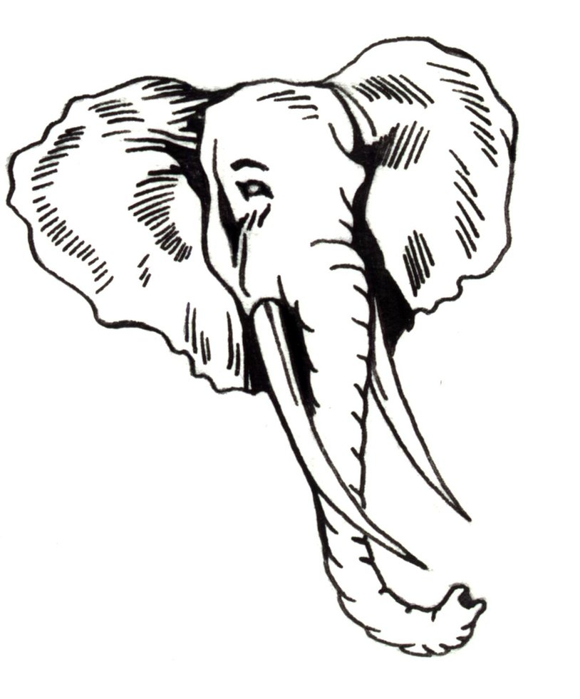 814x981 Elephant Head Drawings Elephant Head Outline Free Download Clip