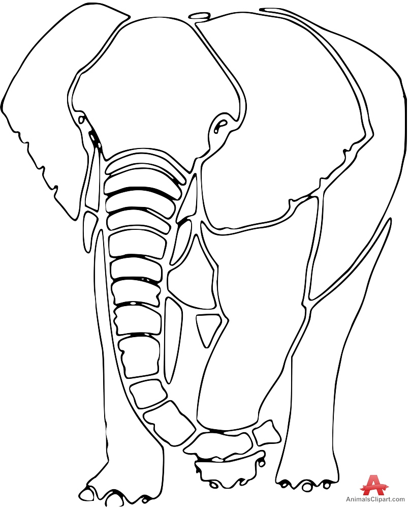 807x999 Indian Elephant Outline Drawing Free Clipart Design Download