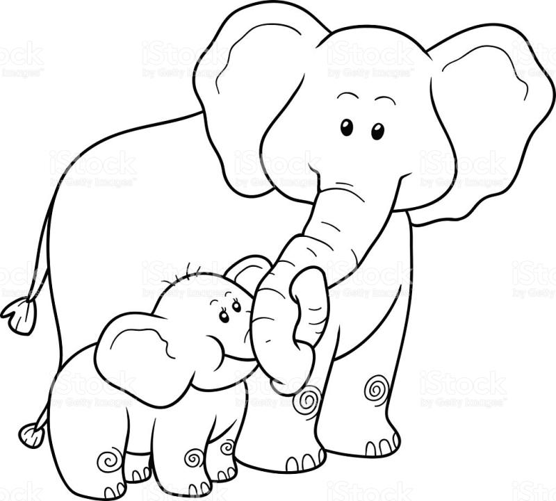 800x721 Elephant Outline Clip Art