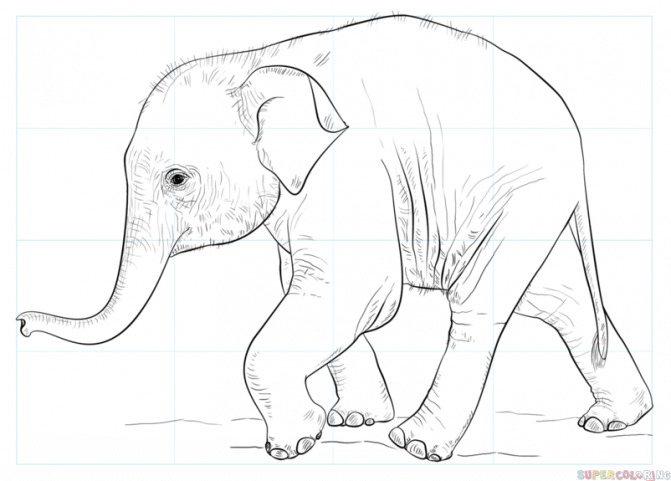 671x481 Coloring Pages Elephant Drawing Image Draw Coloring Pages