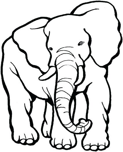 425x525 Coloring Pages Indian Elephant 4 Page 7 Com Best Coloring Disney
