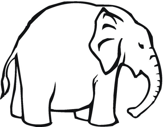 550x426 Elephant Coloring Page
