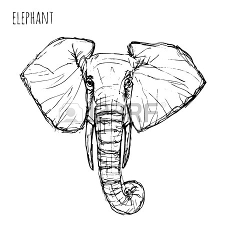 450x450 Elephant Head Stock Photos. Royalty Free Business Images