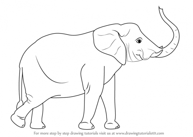 671x475 Coloring Pages Elephant Drawing Image How To Draw An Elephant10