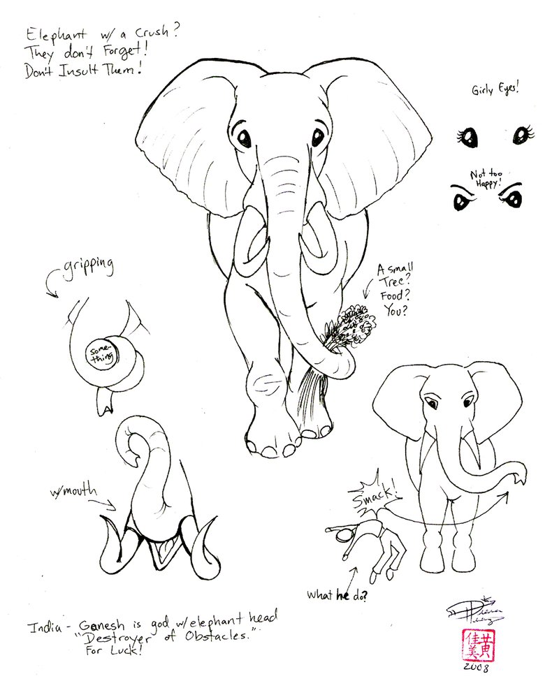 800x995 Draw An Elephant 2 Part2 By Diana Huang