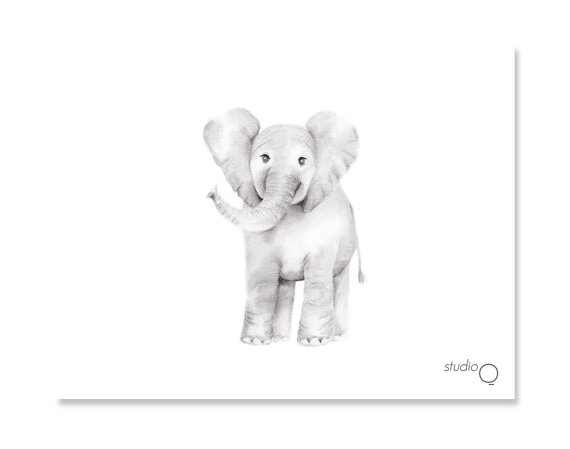 570x449 Elephant Nursery Art Pencil Drawing Grey Nursery Decor Baby