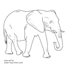 236x236 How To Draw An Elephant Paper Drawing, Animal Drawings And Drawings