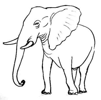 350x349 How To Draw An Elephant