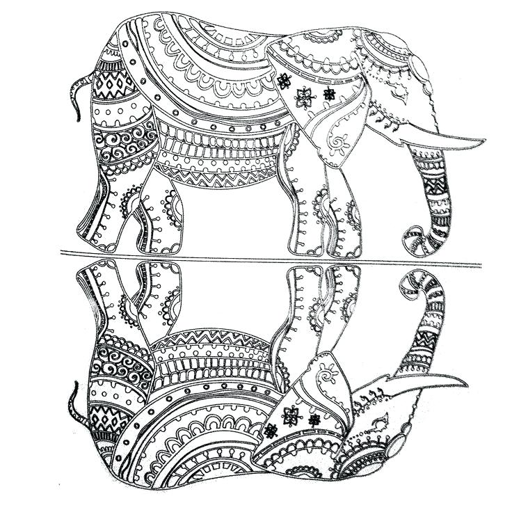 736x736 Colorful Elephant Book As Well As Drawing Stylized Elephant