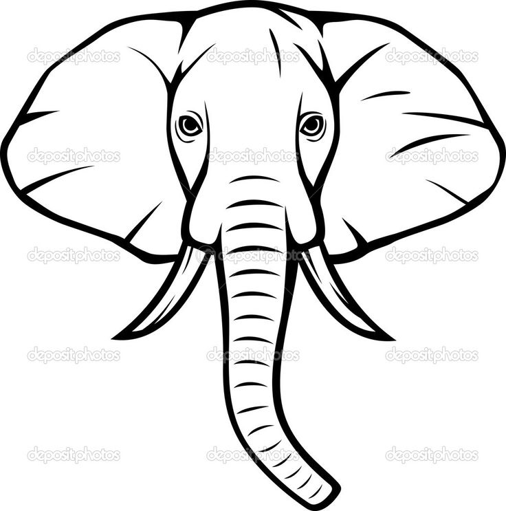 736x743 Elephant Head Drawing Designs Tags Elephant Head Drawing How