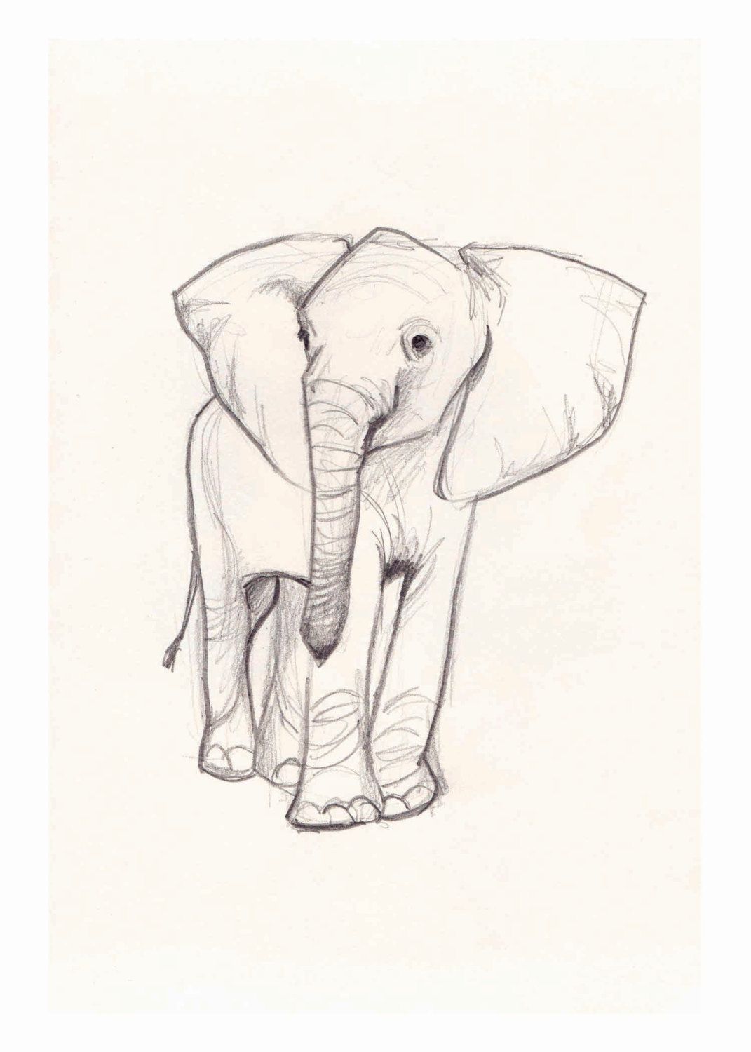 1071x1500 Elephant Sketch Art Elephant Sketch, Sketches