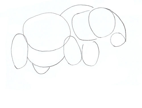 500x380 How To Draw An Elephant